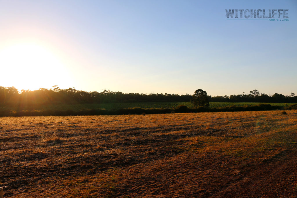 Witchcliffe Ecovillage