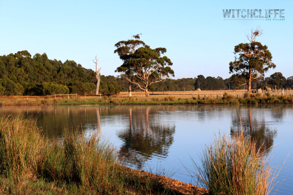 Witchcliffe Ecovillage