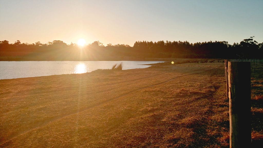 Witchcliffe Ecovillage